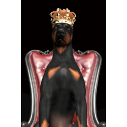 OBRAZ DOG IN CROWN 80X120