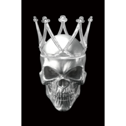 OBRAZ SKULL II 80X120